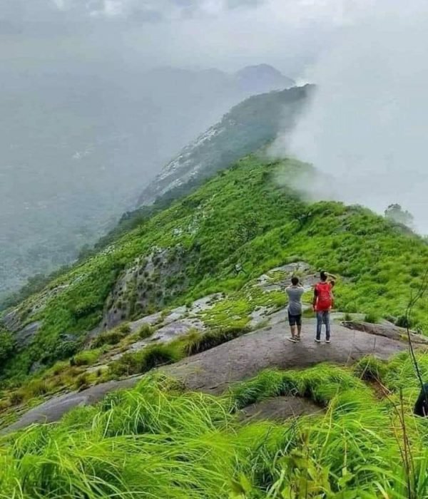 Wayanad Tours