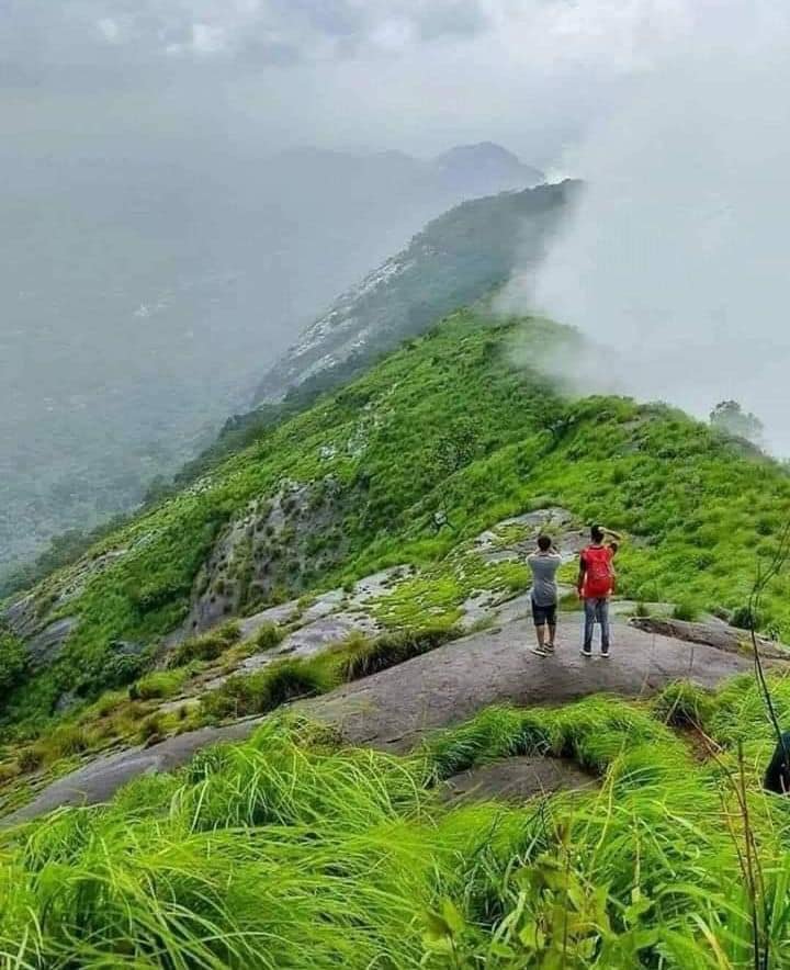 Wayanad Tours
