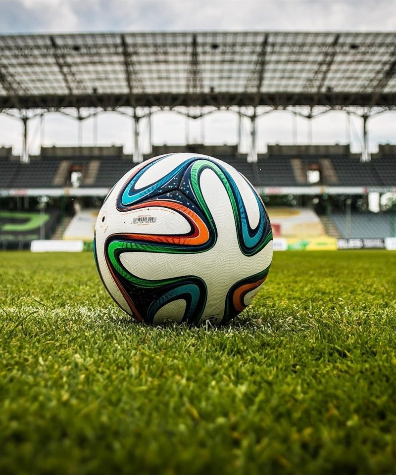 Sports Tourism Sunflower Trip