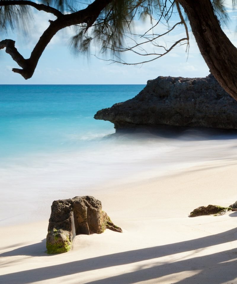 The Caribbeens Island