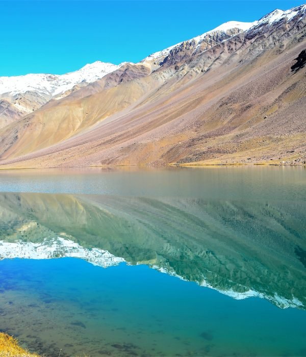 Himachal Pradesh With Sunflower Trip 7076421377