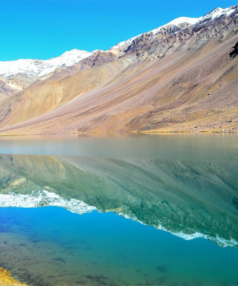 Himachal Pradesh With Sunflower Trip 7076421377