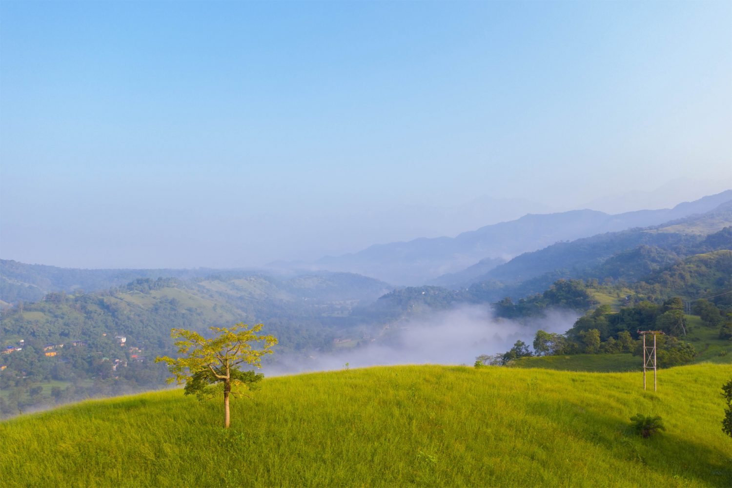 Landscape beauty of Dharmasala