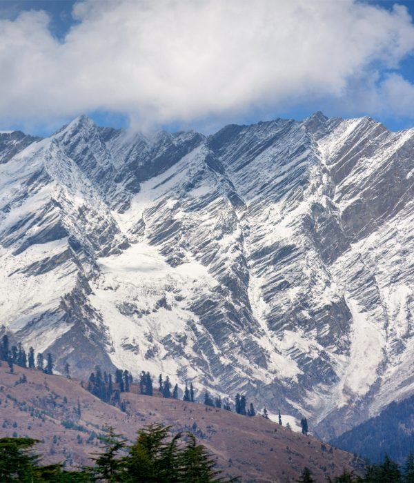 Paraglideing at manali