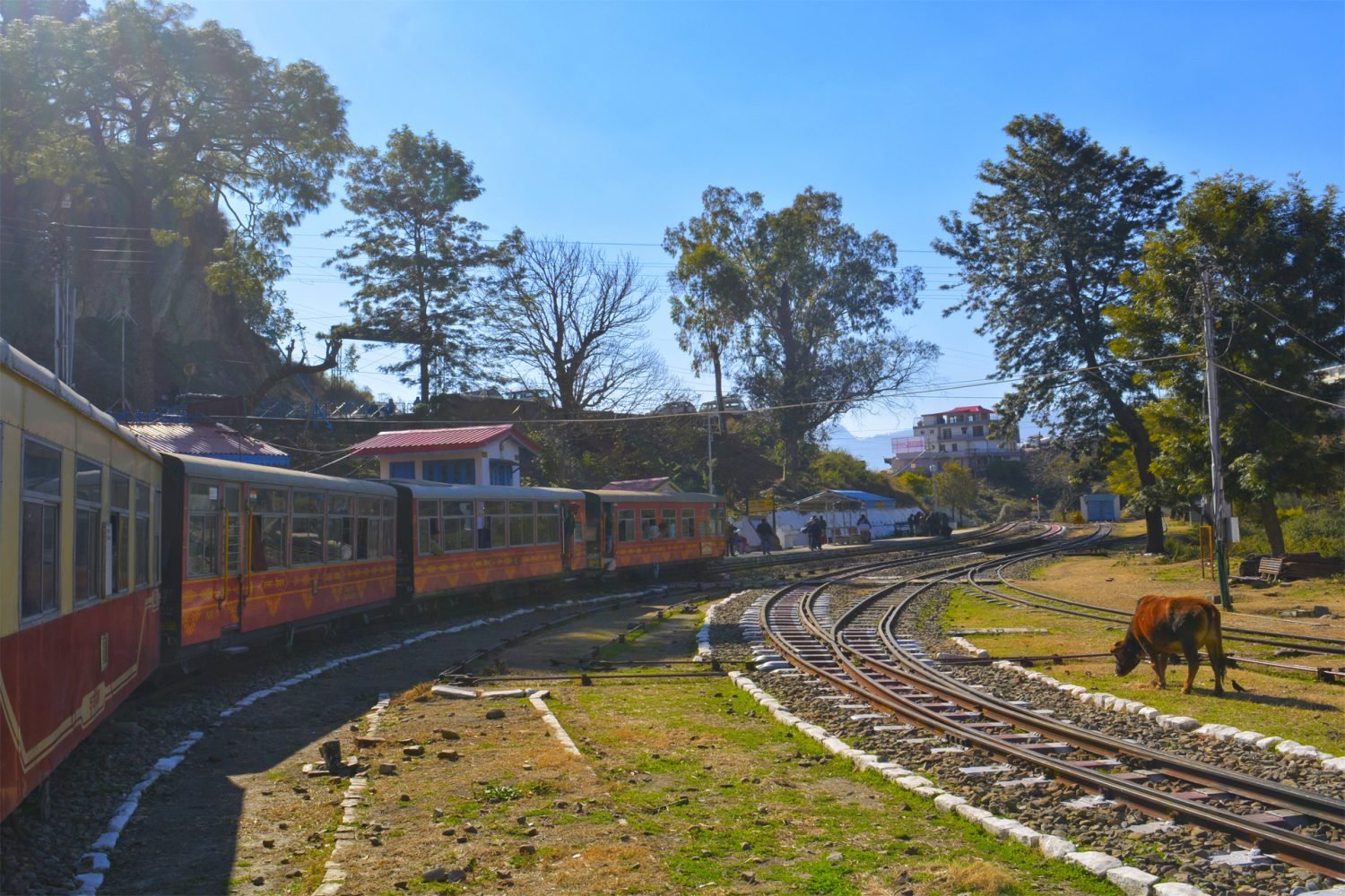 Shimla Toy Train