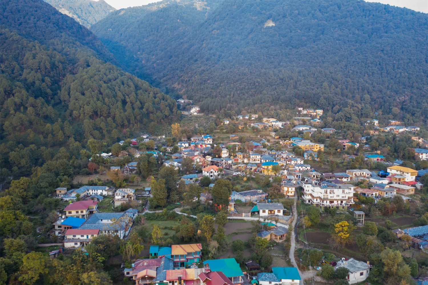 Simla Manali Tour package with Sunflower Trip