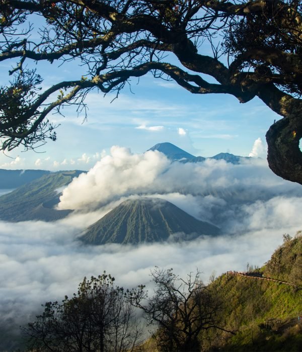 Cloud and Mountain Indonesia Trip