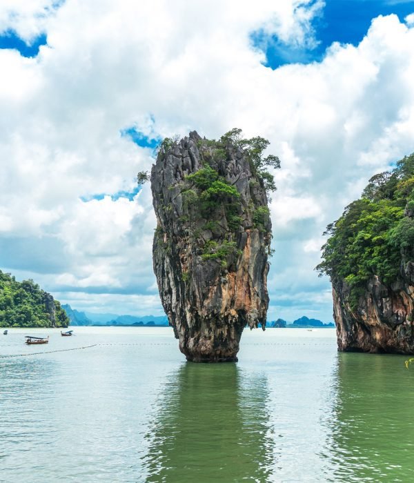 Island Sunflower trip