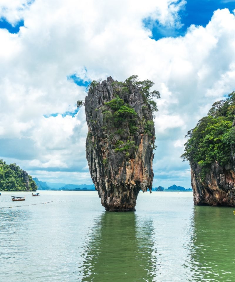 Island Sunflower trip